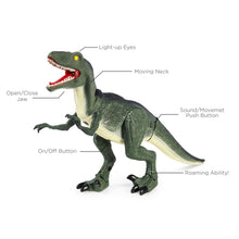 Load image into Gallery viewer, 21in Kids Walking Remote Control Velociraptor Dinosaur Toy w/ Lights, Sound
