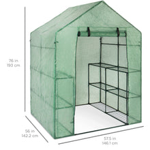 Load image into Gallery viewer, 3-Tier 12-Shelf Outdoor Mini Greenhouse - Green
