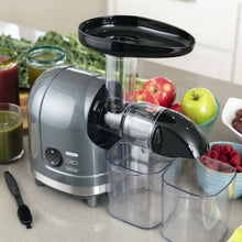 Load image into Gallery viewer, 150W Horizontal Slow Masticating Juicer w/ Reverse Mode, Quiet Motor
